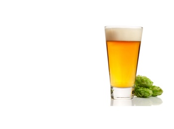 Beer And Hops